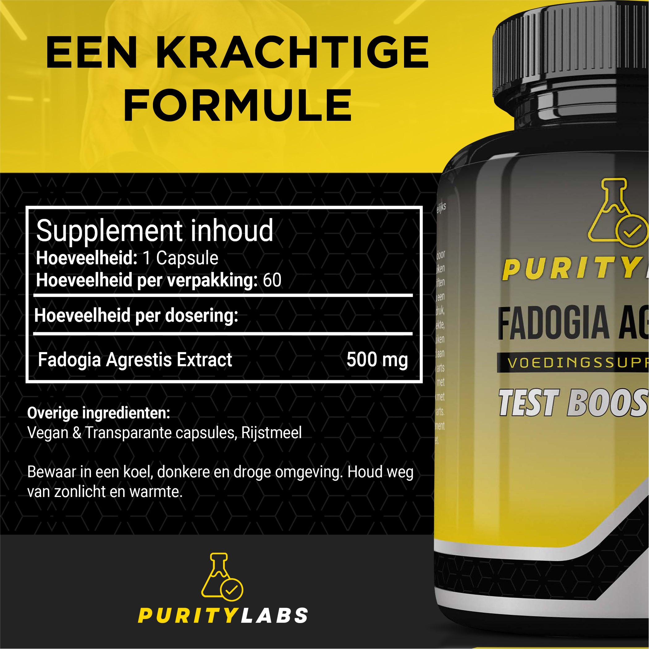 PurityLabs Fadogia Agrestis